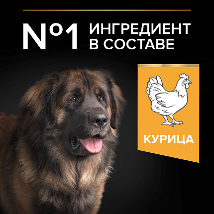 Сухой корм Pro Plan Large Robust для взрослых собак крупных пород, с курицей 18 кг